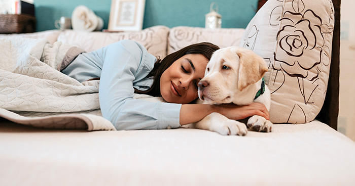 Spávate so svojím psíkom? Pomáhate si tým ku kvalitnejšiemu odpočinku
